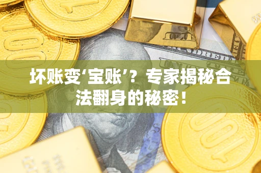 北京坏账变‘宝账’？专家揭秘合法翻身的秘密！