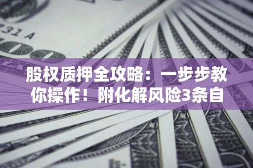 北京股权质押全攻略：一步步教你操作！附化解风险3条自救法则