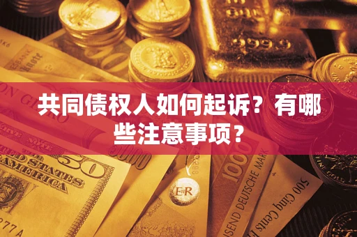 北京共同债权人如何起诉？有哪些注意事项？